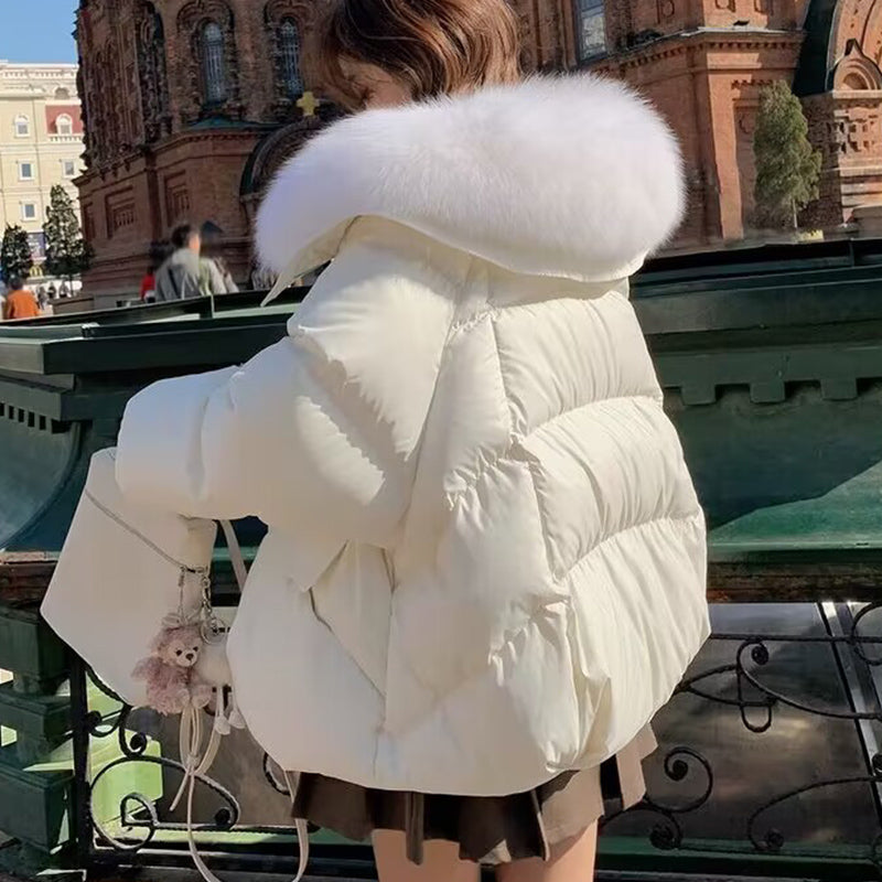 Doudoune courte pour femme, rembourrée de coton et de duvet